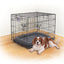 Kazoo Premium Mobile Dog Crate - Woonona Petfood & Produce