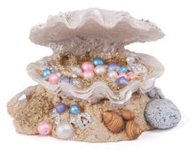 Kazoo Princess Treasure Clam Small - Woonona Petfood & Produce