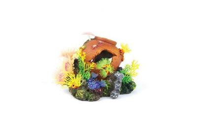 Kazoo Soft Coral With Jar & Plants & Air Small - Woonona Petfood & Produce