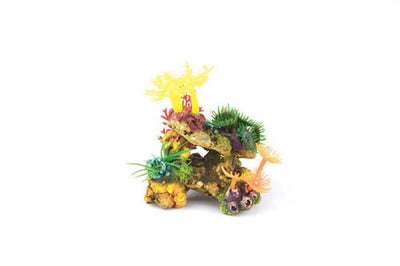 Kazoo Soft Coral With Plants - Woonona Petfood & Produce