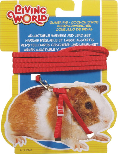 Living World Guinea Pig Harness/Lead Set Red - Woonona Petfood & Produce