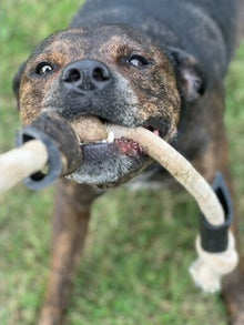 Loving Pets Goat On A Rope Tug & Chew - Woonona Petfood & Produce