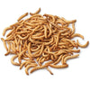 Reptile Food