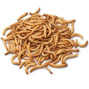 Reptile Food image