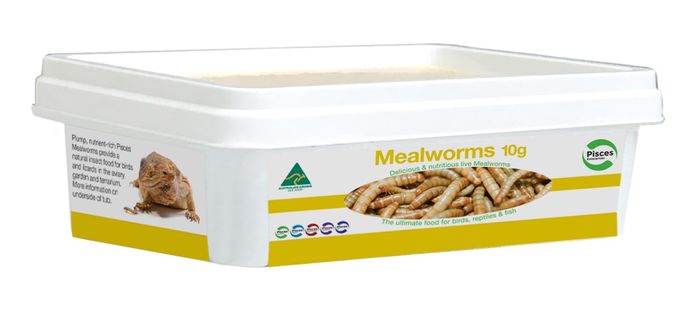 Meal Worms - Woonona Petfood & Produce