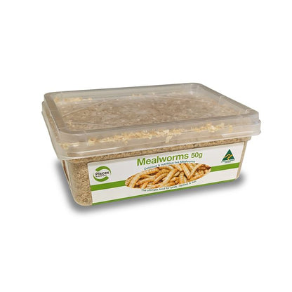 Meal Worms - Woonona Petfood & Produce