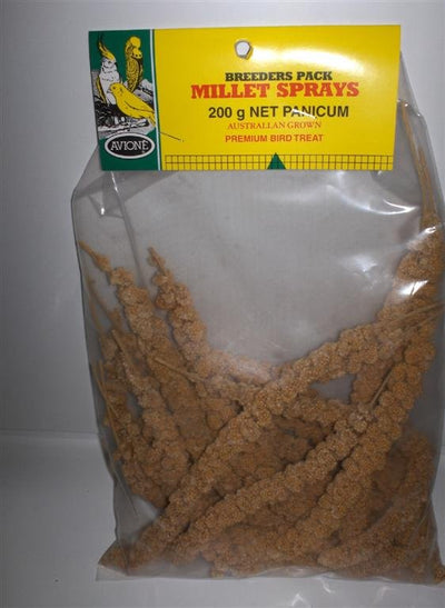 Millet Spray Panicum Avione - Woonona Petfood & Produce