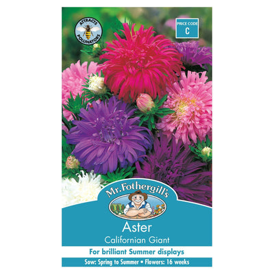 Mr Fothergills Aster Calofornian Giant - Woonona Petfood & Produce