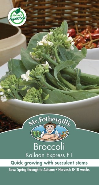 Mr Fothergills Broccoli Kailaan Express F1 - Woonona Petfood & Produce