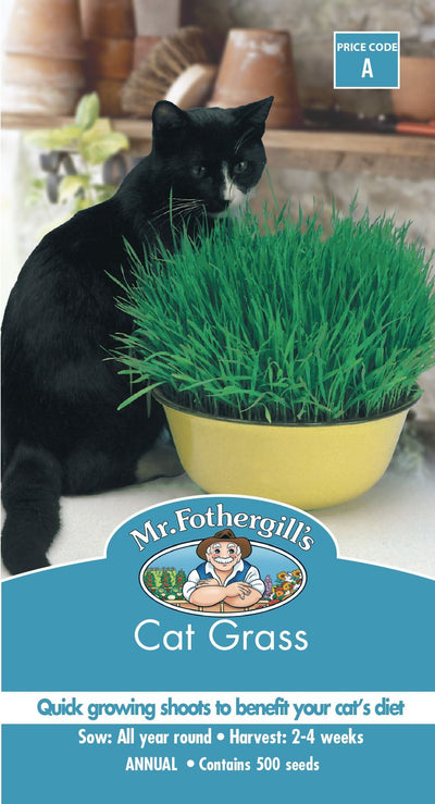 Mr Fothergills Cat Grass - Woonona Petfood & Produce