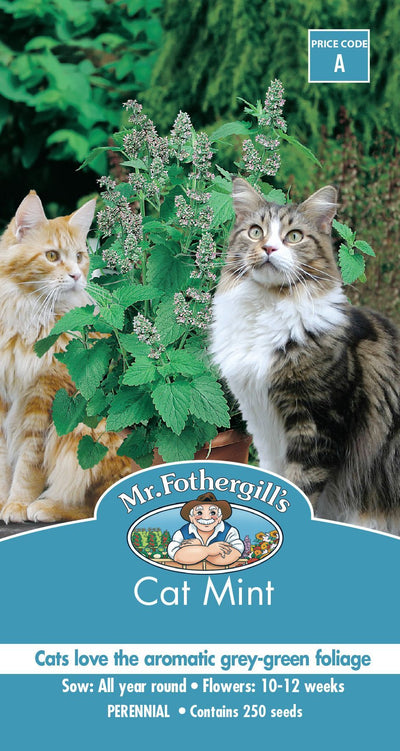Mr Fothergills Cat Mint - Woonona Petfood & Produce