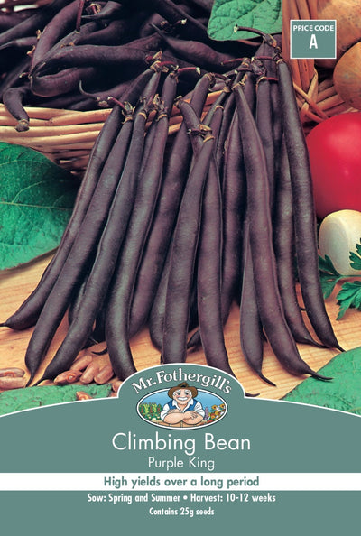 Mr Fothergills Climbing Bean Purple King - Woonona Petfood & Produce