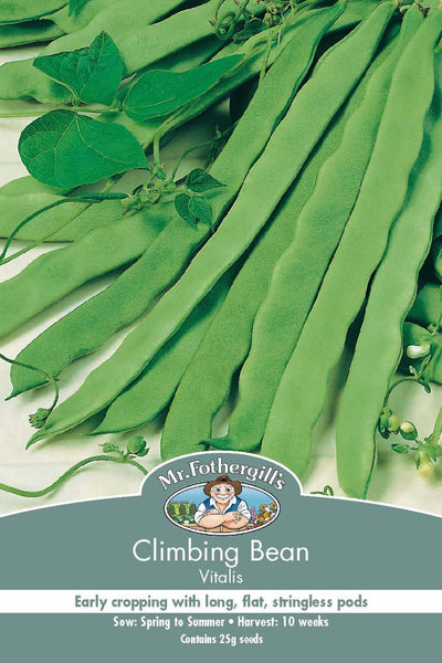 Mr Fothergills Climbing Bean Vitalis - Woonona Petfood & Produce