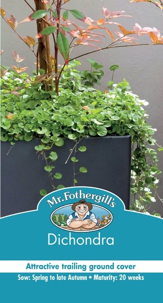 Mr Fothergills Dichondra - Woonona Petfood & Produce