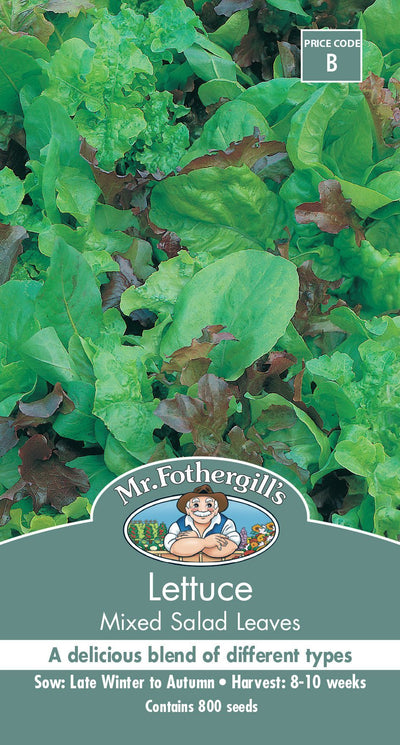 Mr Fothergills Lettuce Mixed Salad Leaves - Woonona Petfood & Produce