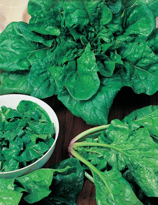 Mr Fothergills Spinach Matador - Woonona Petfood & Produce