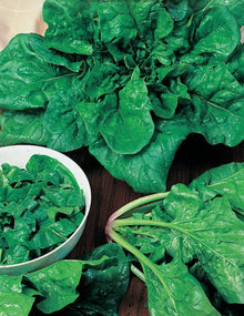 Mr Fothergills Spinach Matador - Woonona Petfood & Produce