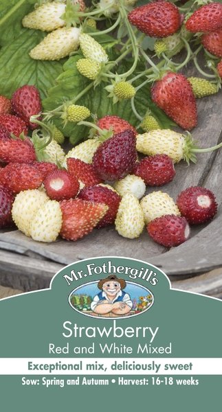 Mr Fothergills Strawberry Red & White - Veg - Woonona Petfood & Produce