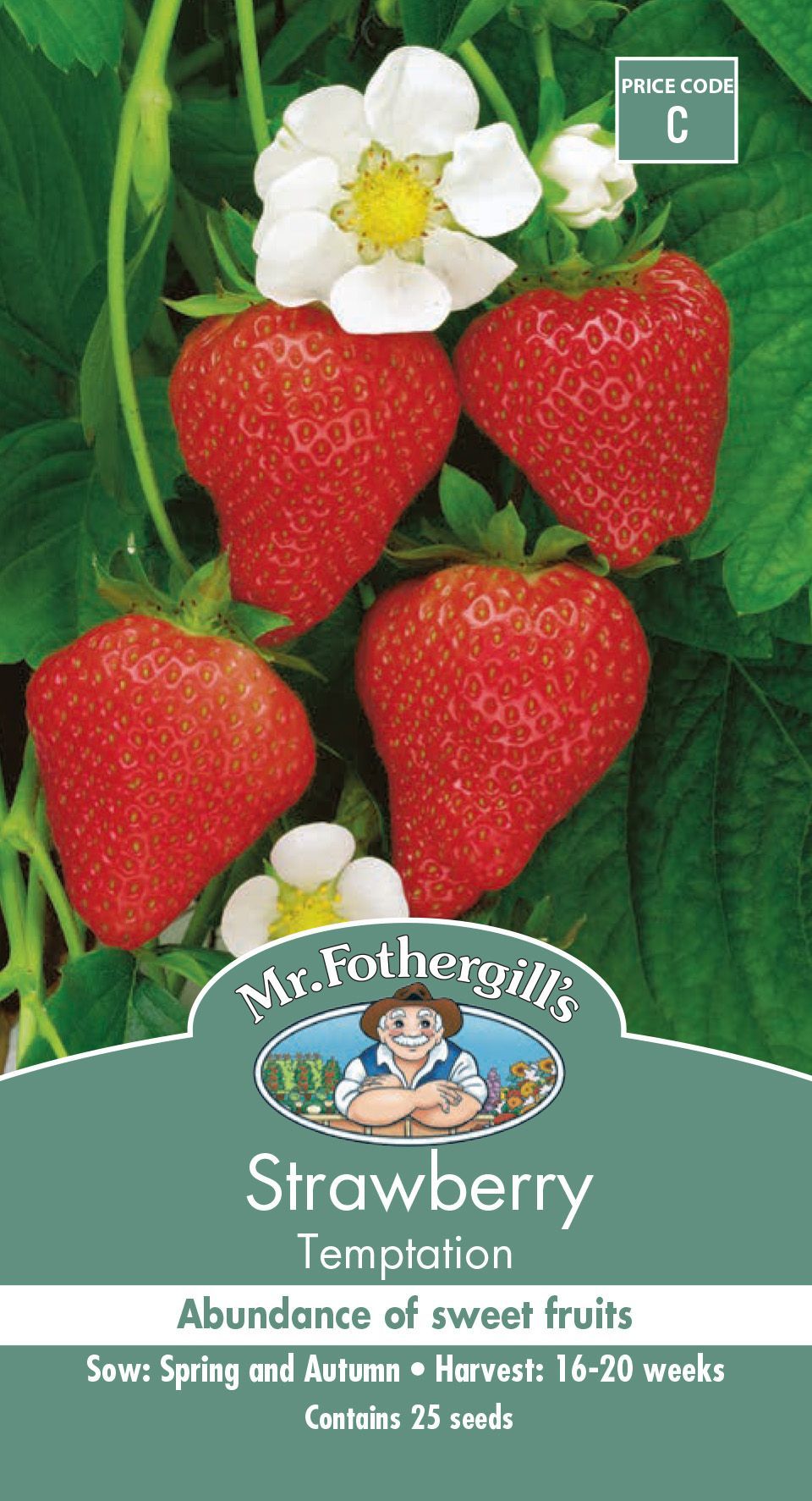 Mr Fothergills Strawberry Temptation - Woonona Petfood & Produce