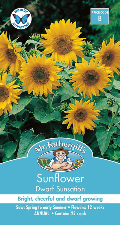Mr Fothergills Sunflower Dwarf Sunsation - Woonona Petfood & Produce