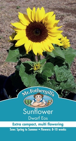 Mr Fothergills Sunflower Eos - Woonona Petfood & Produce