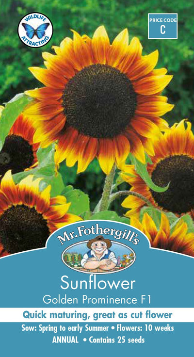 Mr Fothergills Sunflower Golden Prominence - Woonona Petfood & Produce