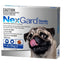 Nexgard Medium 4.1-10kg - Woonona Petfood & Produce