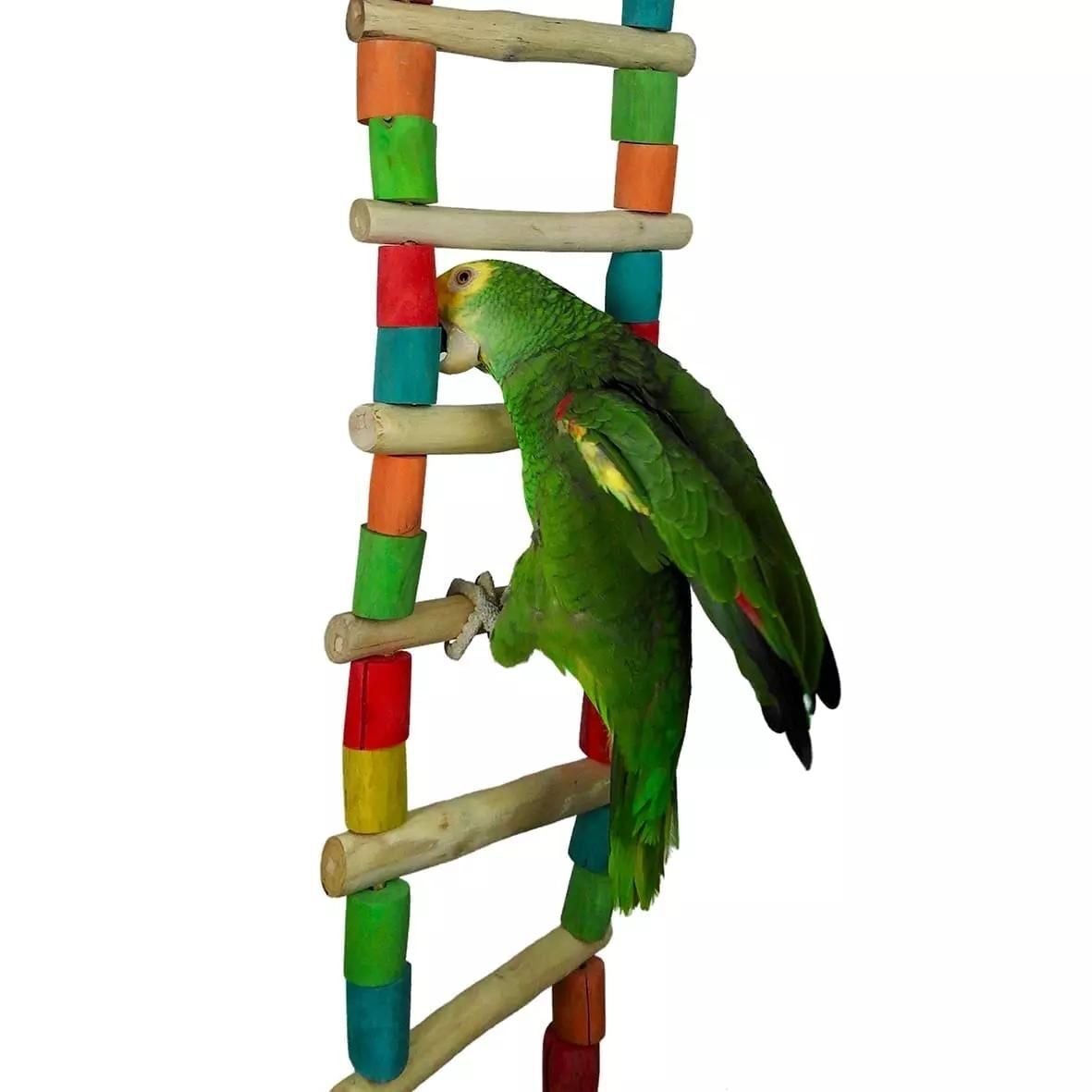 Ninos Java Bird Ladder Giant - Woonona Petfood & Produce