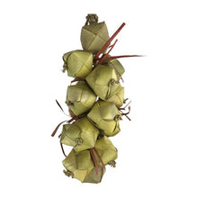 Ninos Java Bird Toy Palm Nuts - Woonona Petfood & Produce