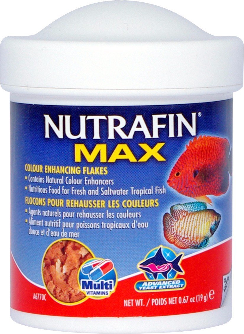 Nutrafin Max Tropical Colour Enhance Flakes 19g - Woonona Petfood & Produce
