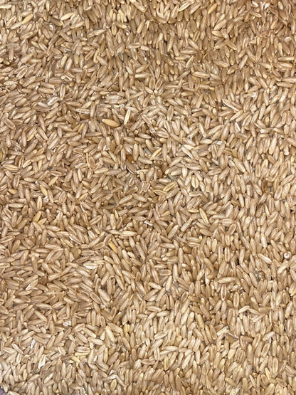 Oats Hulled Avigrain - Woonona Petfood & Produce