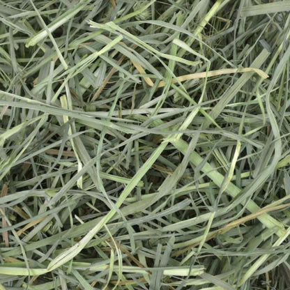 Oxbow Orchard Grass Hay 425g - Woonona Petfood & Produce