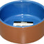 Pet One Bowl Terracotta Blue - Woonona Petfood & Produce