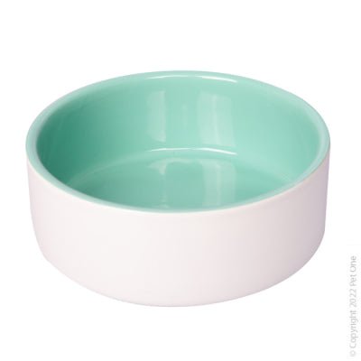 Pet One Ceramic Pet Bowl Green/White - Woonona Petfood & Produce