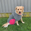 Pet One Dog Coat Night Walker Waterproof Reflective Charcoal Pink - Woonona Petfood & Produce