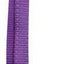 Pet One Lead Nylon Padded 120cm 15mm - Woonona Petfood & Produce