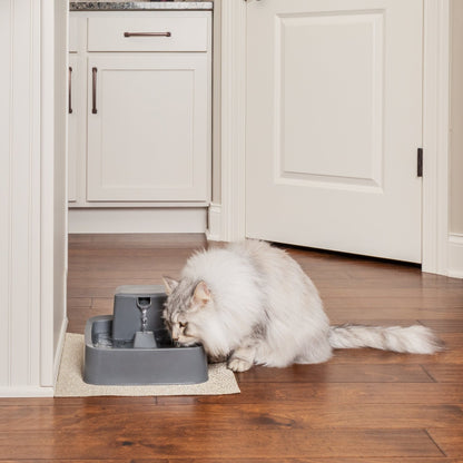 Petsafe Drinkwell Little Pet Fountain 3.7 Lutre - Woonona Petfood & Produce