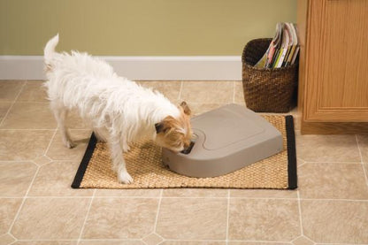 Petsafe Eatwell 5 Meal Pet Feeder - Woonona Petfood & Produce
