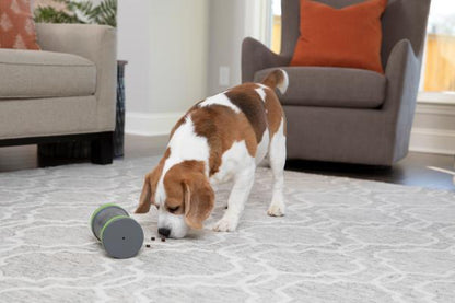 Petsafe Kibble Chase Roving Treat Dispenser - Woonona Petfood & Produce