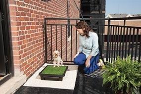 Petsafe The Pet Loo - Woonona Petfood & Produce