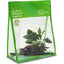 Pisces Driftwood Creations 3 - Woonona Petfood & Produce