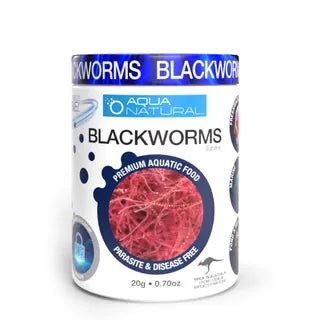 Pisces Natural Products Blackworms Freezed Dried 20g - Woonona Petfood & Produce