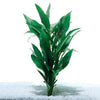 Live Plants