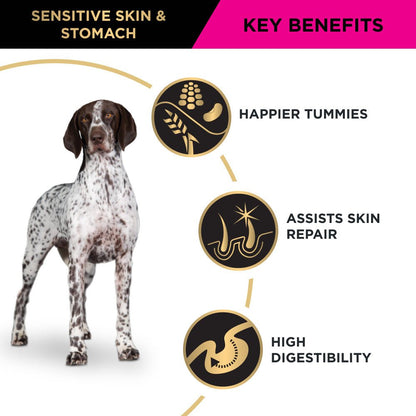Pro Plan Dog Dry Food Adult Sensitive Skin and Stomach Medium and Large Breed - Woonona Petfood & Produce