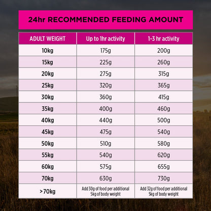 Pro Plan Dog Dry Food Adult Sensitive Skin and Stomach Medium and Large Breed - Woonona Petfood & Produce