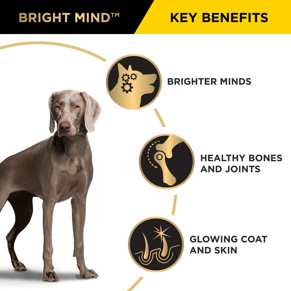 Pro Plan Dog Dry Food Bright Minds 7+ Medium & Large Breed 12kg - Woonona Petfood & Produce