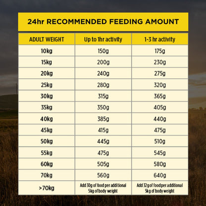 Pro Plan Dog Dry Food Bright Minds 7+ Medium & Large Breed 12kg - Woonona Petfood & Produce