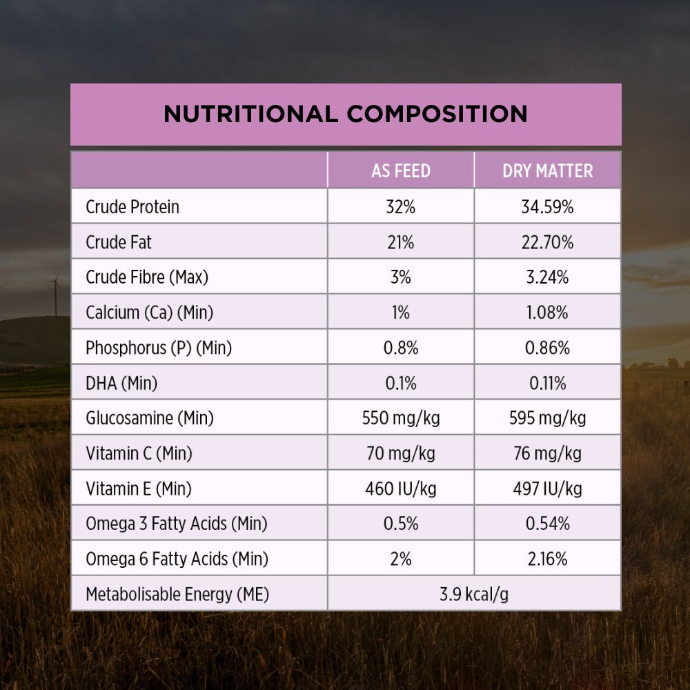 Pro Plan Dog Dry Food Performance - Woonona Petfood & Produce