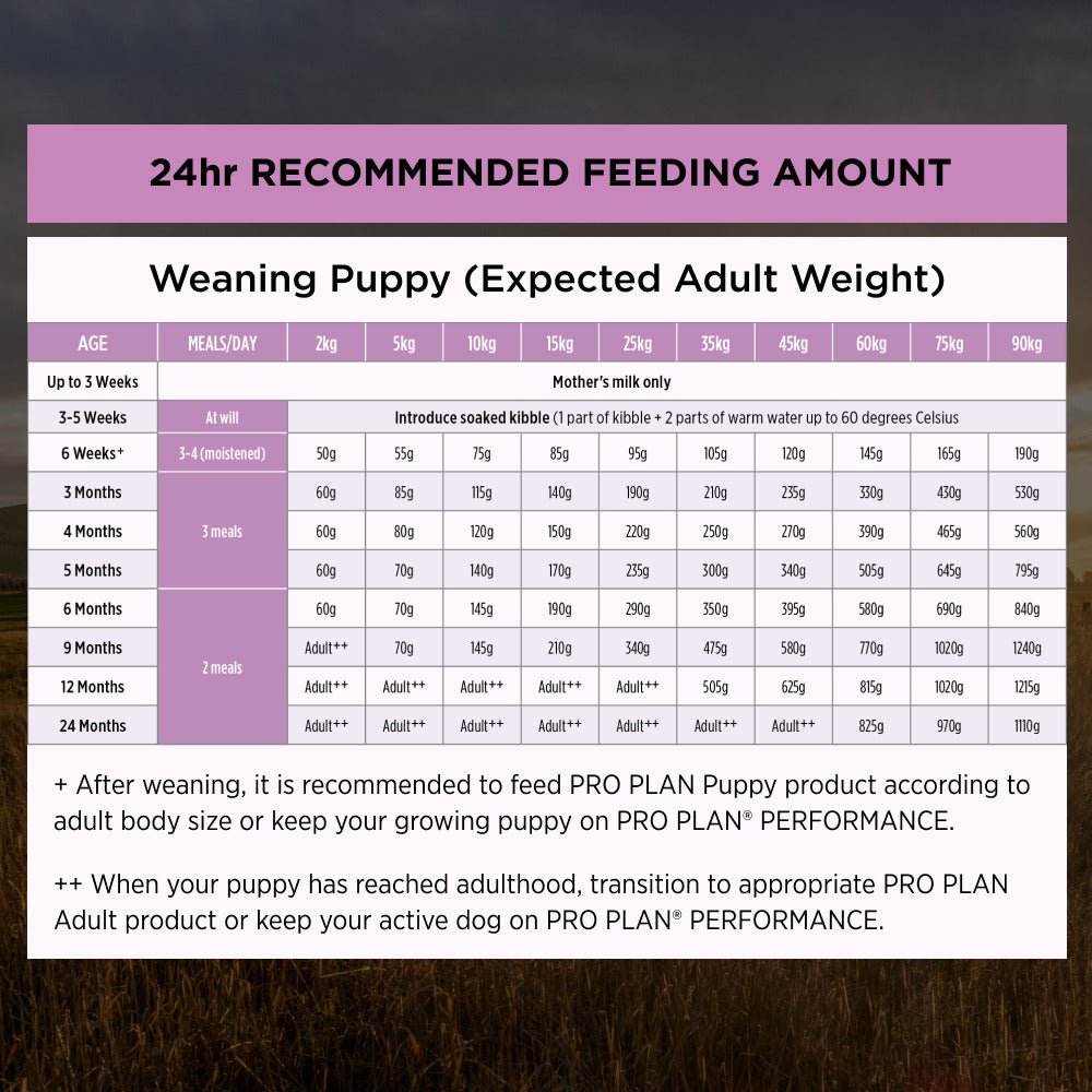 Pro Plan Dog Dry Food Performance Starter Mother & Puppy 12kg - Woonona Petfood & Produce