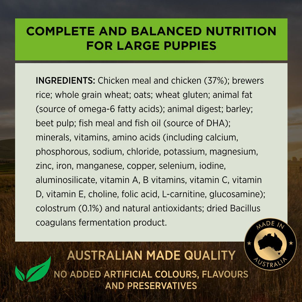Pro Plan Dog Dry Food Puppy Large Breed Chicken - Woonona Petfood & Produce